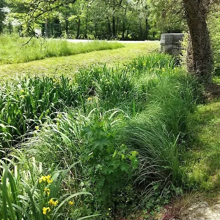 Cute 1-Bed Cottage With View Across Park. Issac Exterior photo