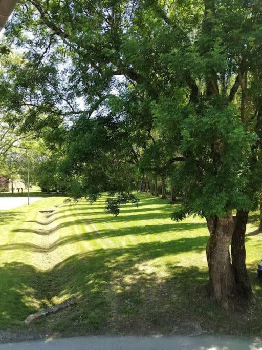 Cute 1-bed With View Across Park.